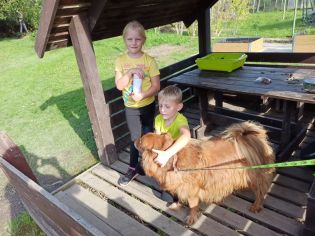 Fotografie img-20221006-wa0025_original.jpg