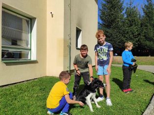 Fotografie img_20221006_131852_original.jpg