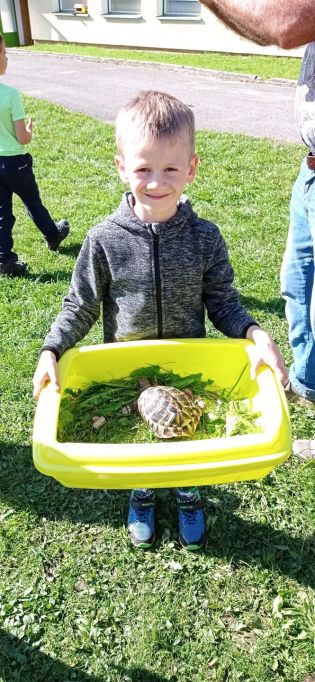 Fotografie img_20221006_133054_original.jpg