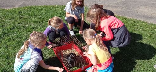 Fotografie img_20221006_134841_original.jpg