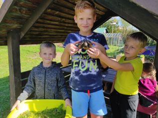 Fotografie img_20221006_135725_original.jpg