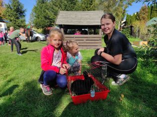 Fotografie img_20221006_135741_original.jpg