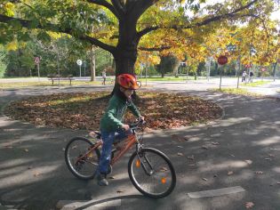 Fotografie img_20221010_110316_original.jpg