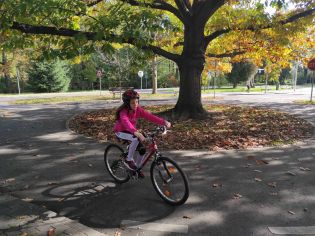 Fotografie img_20221010_110322_original.jpg