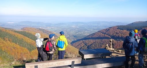 Fotografie img_20221010_093801_original.jpg