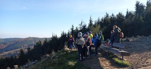 Fotografie img_20221010_093815_original.jpg