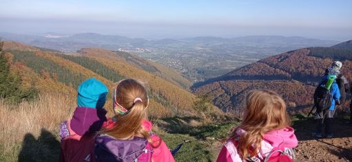 Fotografie img_20221010_093855_original.jpg