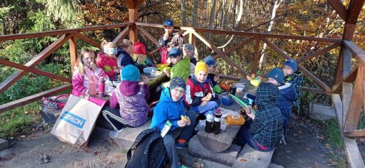 Fotografie img_20221010_094843_original.jpg