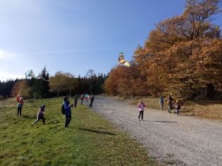 Fotografie img_20221010_110238_original.jpg