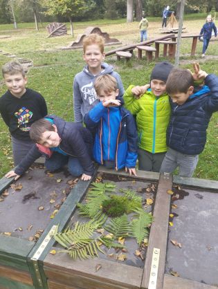 Fotografie img_20221005_133452_original.jpg