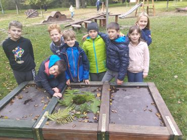 Foto k aktualitě Přírodovědná vycházka čtvrté třídy