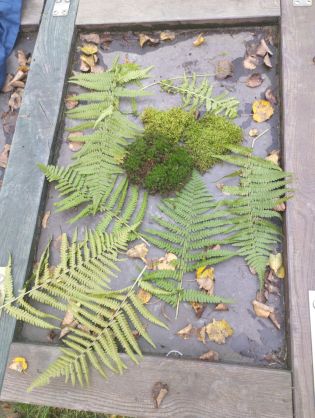 Fotografie img_20221005_133516_original.jpg