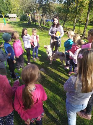 Fotografie img_20221012_1322021_original.jpg