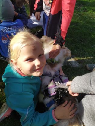 Fotografie img_20221012_133106_original.jpg