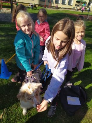 Fotografie img_20221012_133544_original.jpg