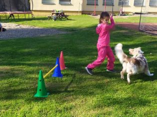 Fotografie img_20221012_134641_original.jpg