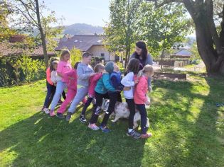 Fotografie img_20221012_135305_original.jpg