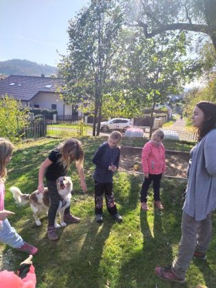 Fotografie img_20221012_140224_original.jpg