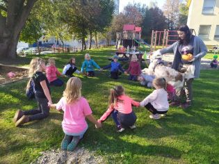 Fotografie img_20221012_140405_original.jpg