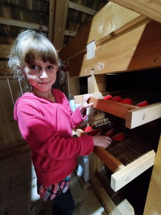 Fotografie 41_original.jpg