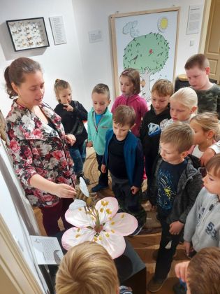 Fotografie 000008_original.jpg