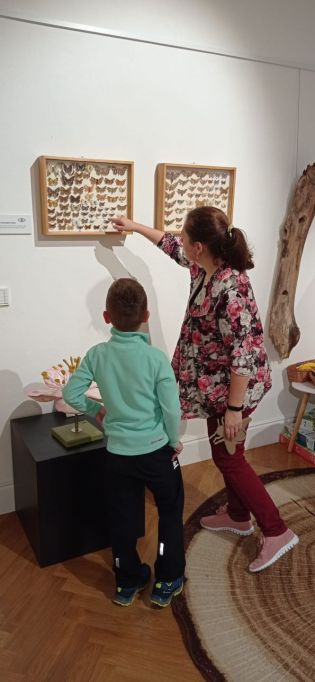 Fotografie 006_original.jpg