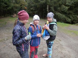 Fotografie pa130073_original.jpg