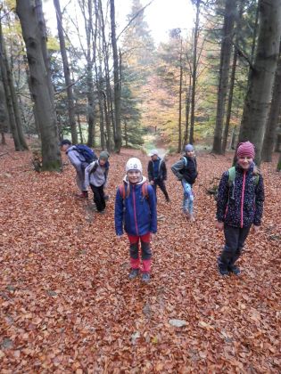 Fotografie pa130083_original.jpg