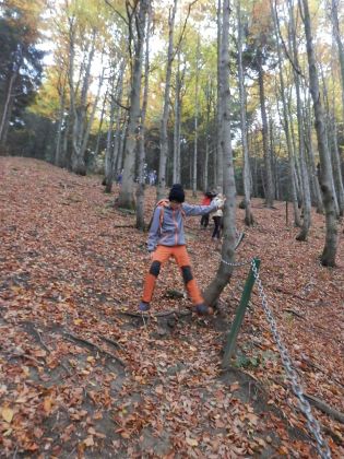 Fotografie pa130084_original.jpg