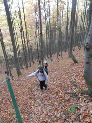 Fotografie pa130096_original.jpg