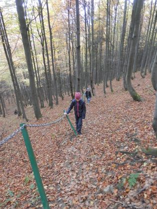 Fotografie pa130097_original.jpg