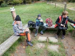 Fotografie pa130121_original.jpg