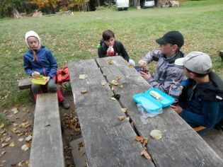 Fotografie pa130122_original.jpg