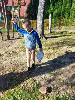 Fotografie 20221018_113102_original.jpg