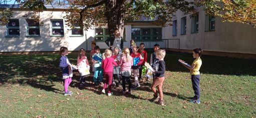 Fotografie img-20221018-wa0002_original.jpg