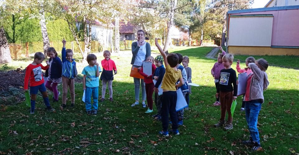 Poznáváme stromy v přírodě s prvňáčky