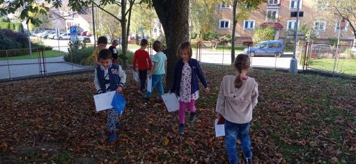 Fotografie img-20221018-wa0012_original.jpg