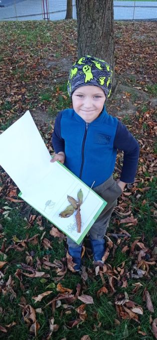 Fotografie img-20221018-wa0014_original.jpg