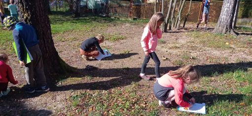 Fotografie img-20221018-wa0016_original.jpg