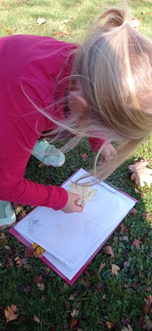 Fotografie img-20221018-wa0025_original.jpg