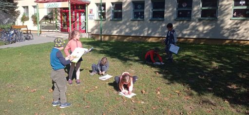 Fotografie img-20221018-wa0026_original.jpg