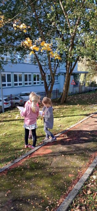 Fotografie img-20221018-wa0028_original.jpg