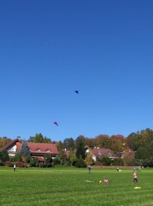 Fotografie 310893898_1868678830190862_2264070251415_original.jpg