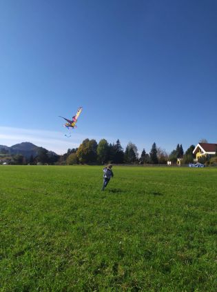 Fotografie 312256183_1272927899916614_8472785029641_original.jpg