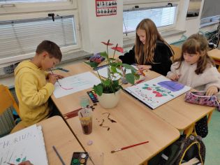 Fotografie 1666244462260_original.jpg