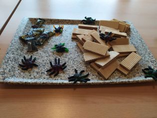 Fotografie 314371079_818419812753878_88241512372521_original.jpg