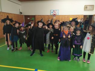 Fotografie 314410734_491710689568262_50015366514256_original.jpg