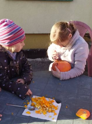 Fotografie 314147391_895528034774943_69015238258197_original.jpg