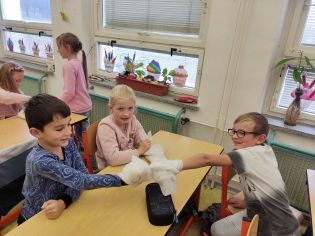 Fotografie img_20221116_104404_original.jpg