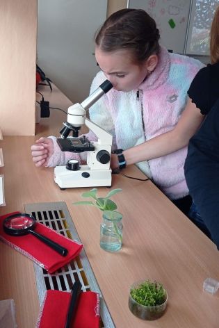 Fotografie 08-1669908475_original.jpg